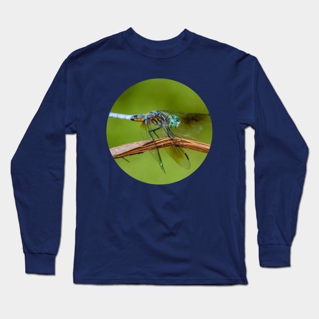 Blue Dasher Dragonfly Photograph Long Sleeve T-Shirt by love-fi